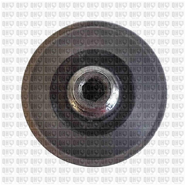Rotule de suspension (Rotule de pivot) QUINTON HAZELL ref. QSJ3527S